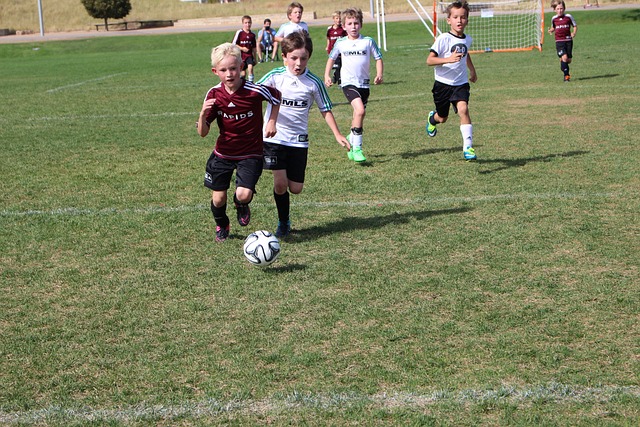 勇气和毅力 勇气和毅力