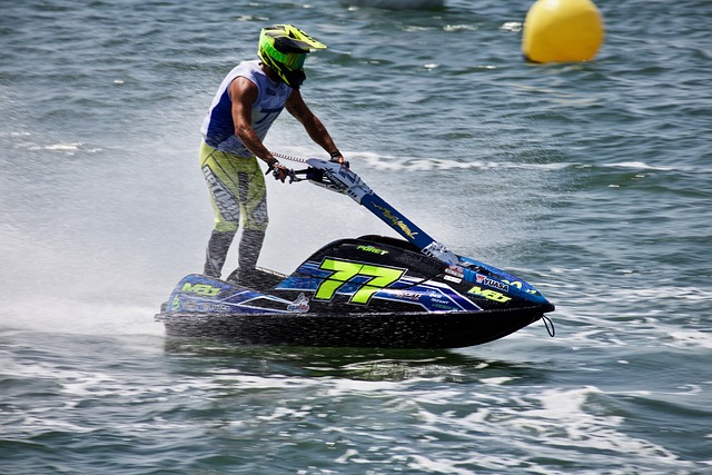 的精心设计 的精心设计