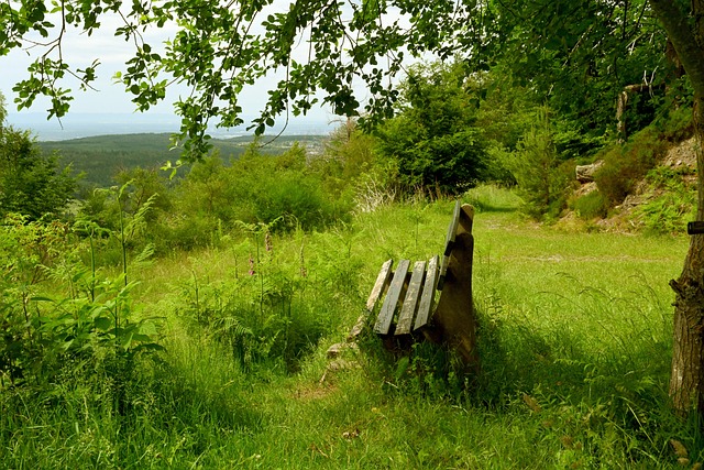 背景分析 背景分析