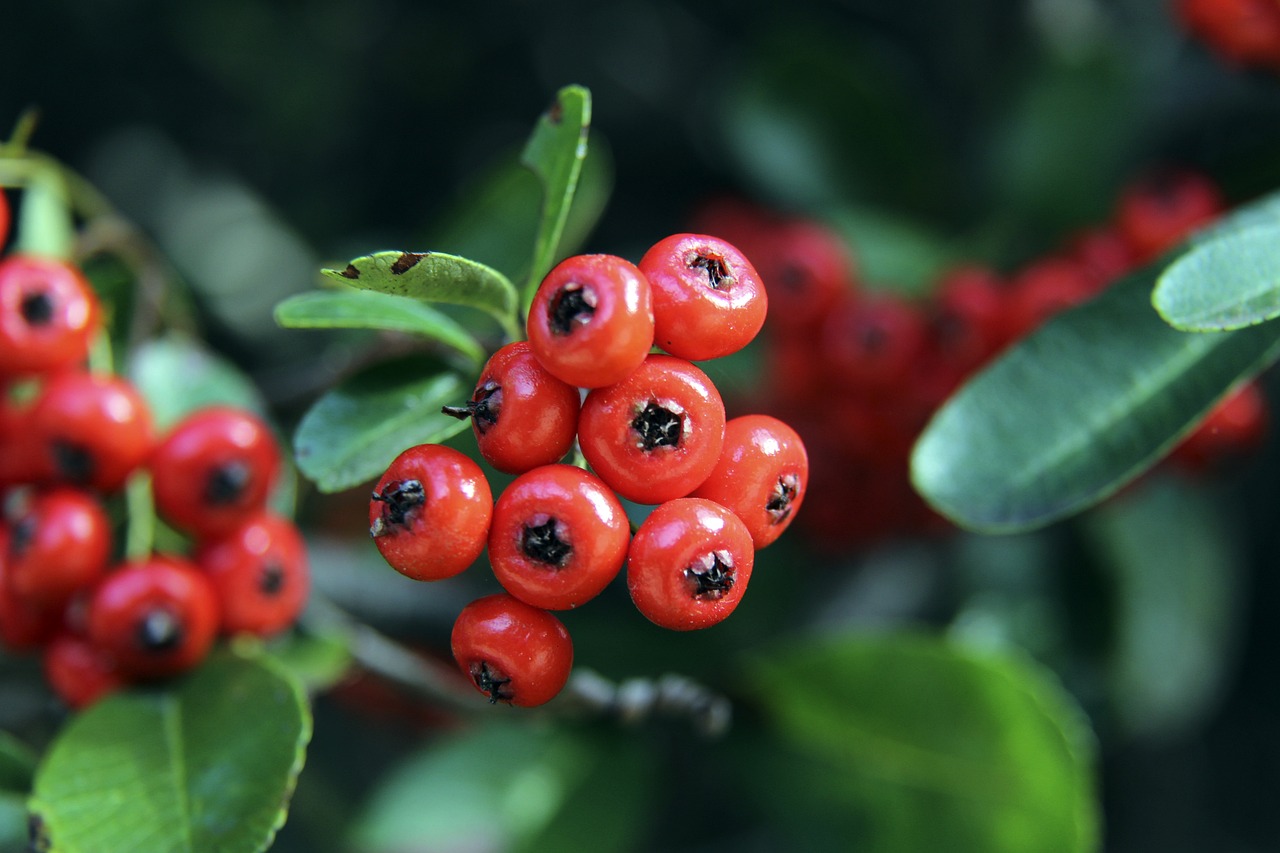 对于热爱篮 对于热爱篮