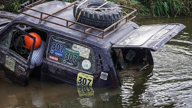 洲之巅的顶 洲之巅的顶