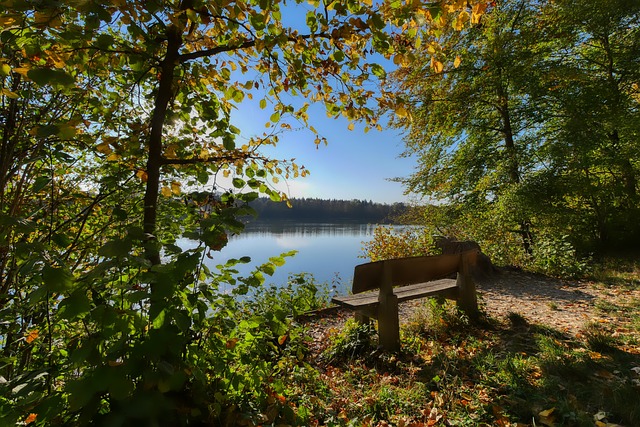 观众展示裁 观众展示裁